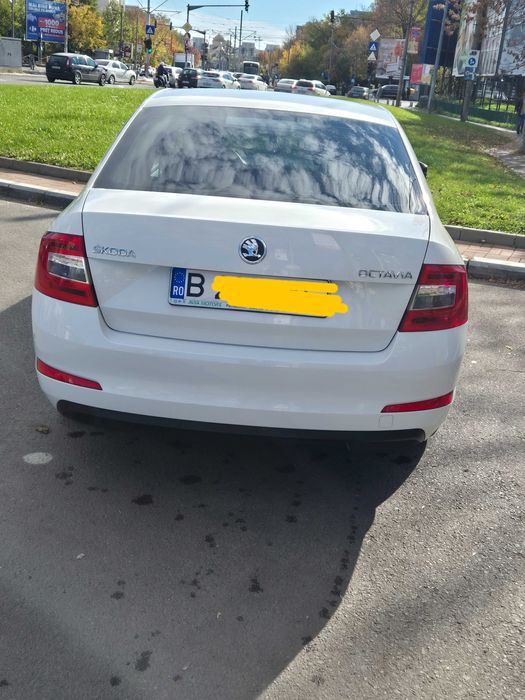 Vand Skoda Octavia