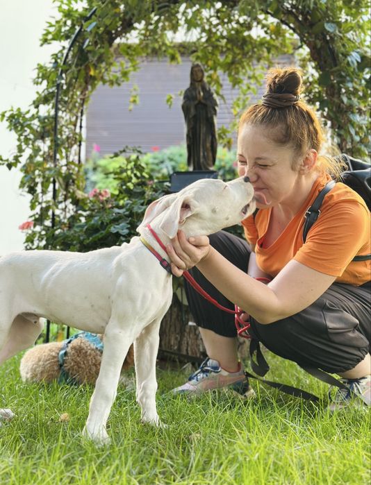 Petsitting de poveste - Cazare animale - Ingrijitor animale