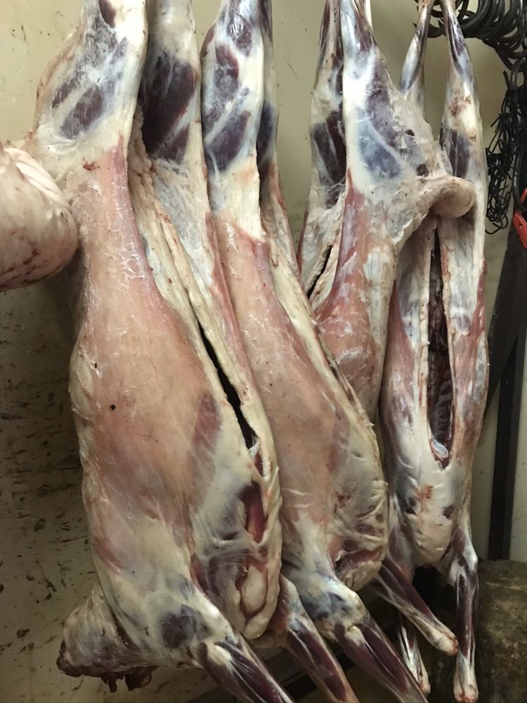 Продам баранов всегда в наличии