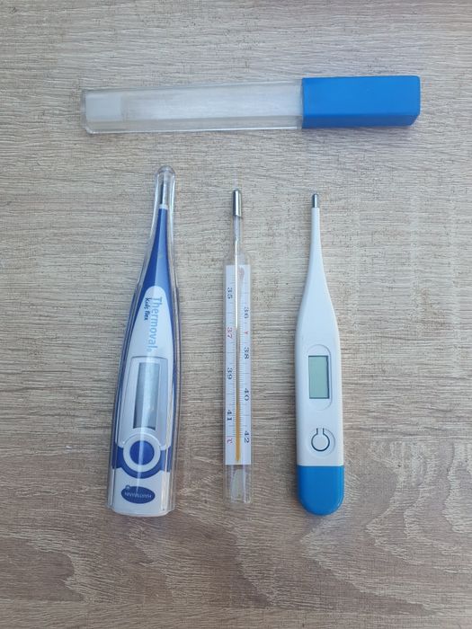 Termometre sticla / 3 buc.