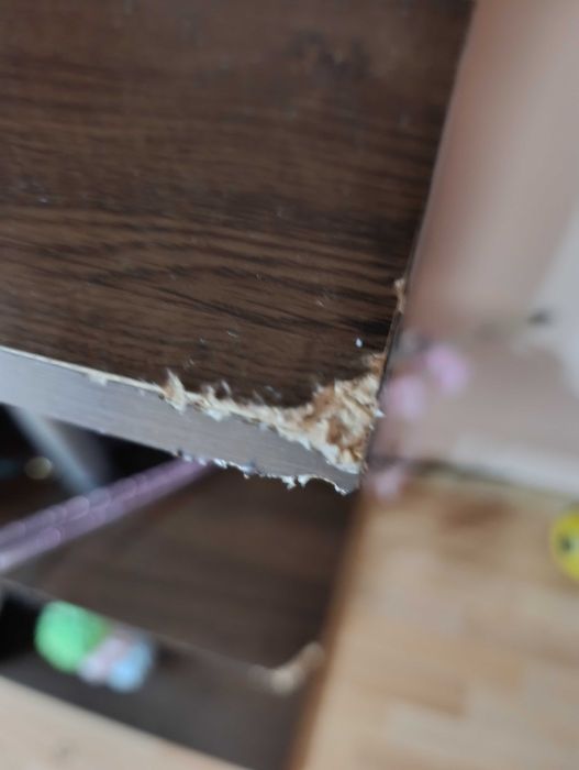 Холна     секция