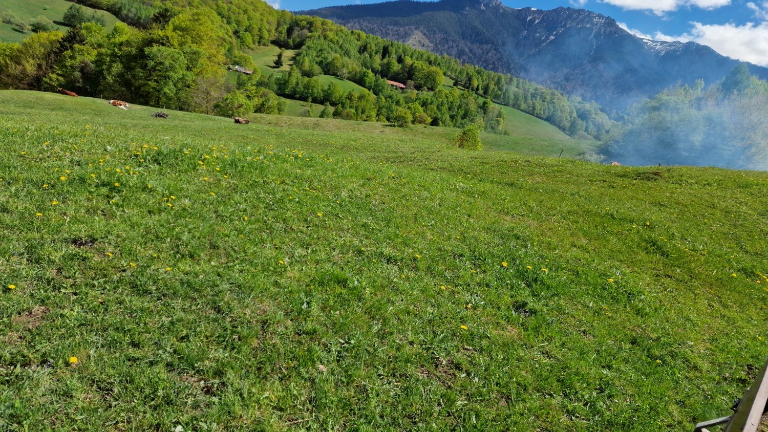 Teren de vânzare ,Sohodol,Bran