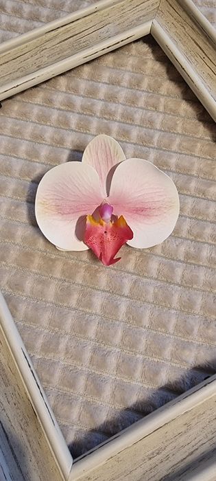 Accesoriu par mireasa