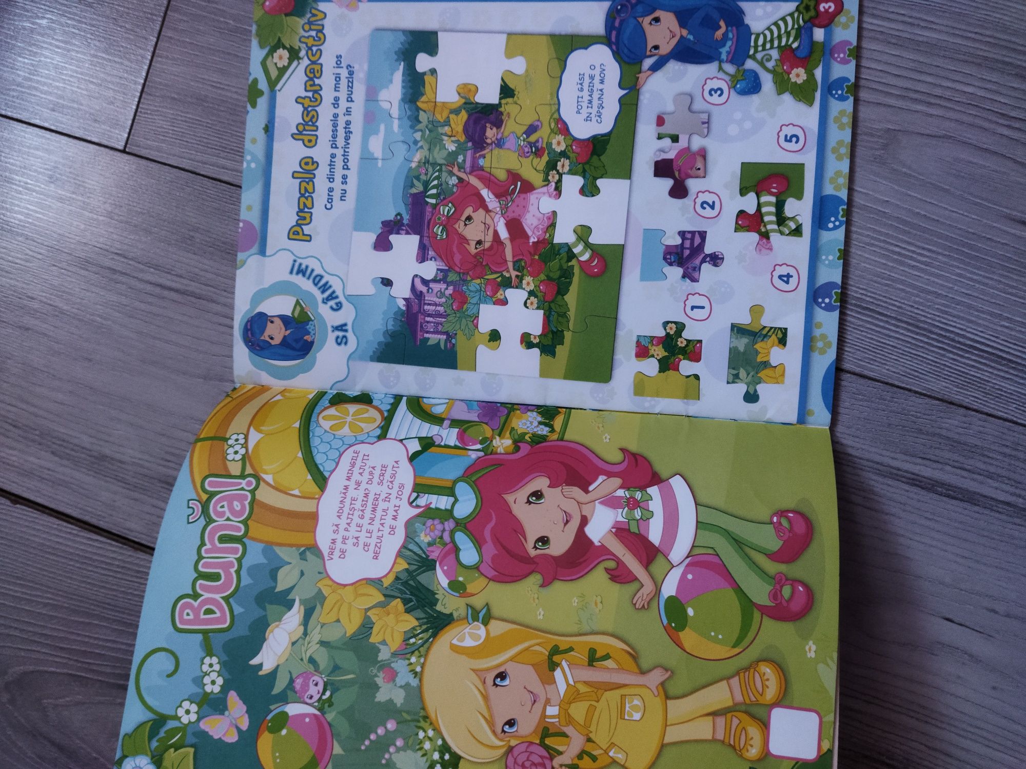 Carte de activități Strawberry Shortcake și  cutie metal pentru fetite