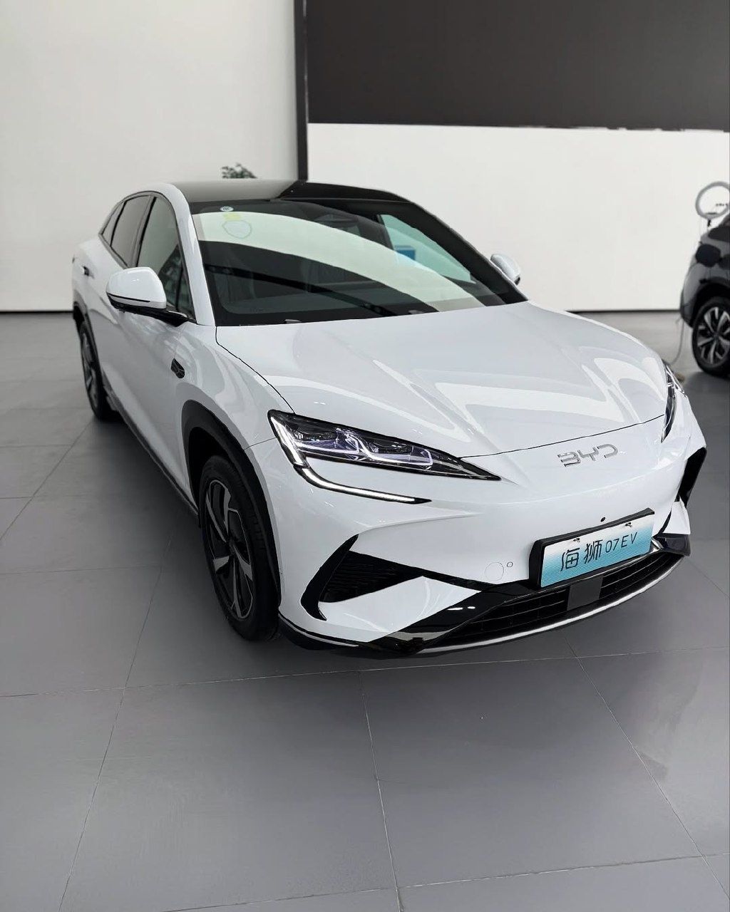 BYD sea lion 610