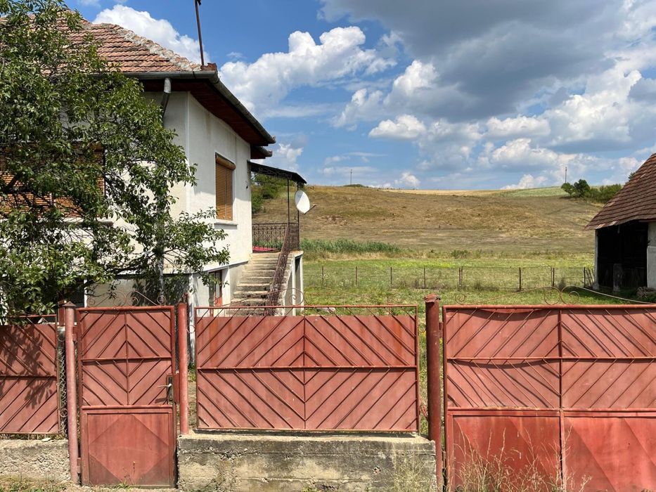 Casa + anexa + 1ha teren