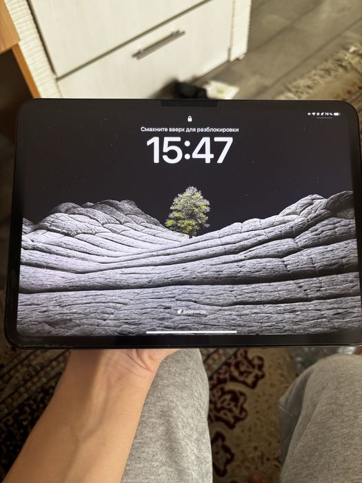 IPad Pro 11 дюймовый M4 256 ГБ