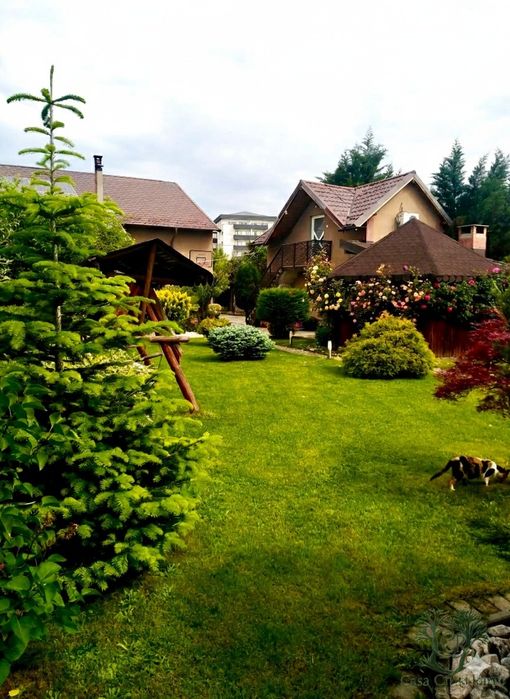 Crăciun & Revelion 2026 - Bradu, Argeș