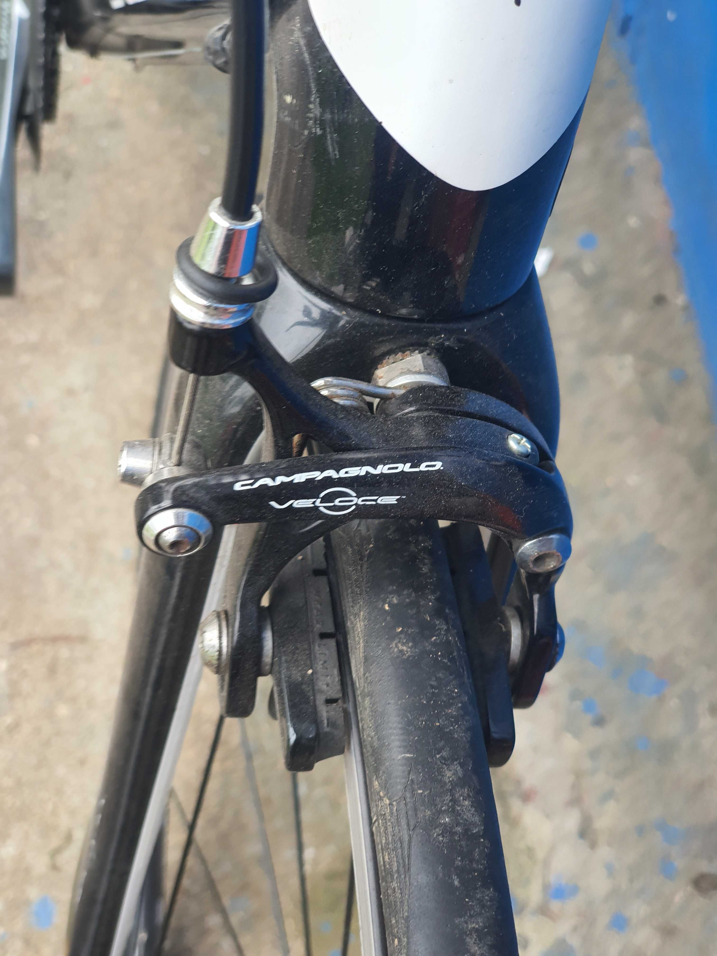 Cursiera specialized roubaix full carbon campagnolo