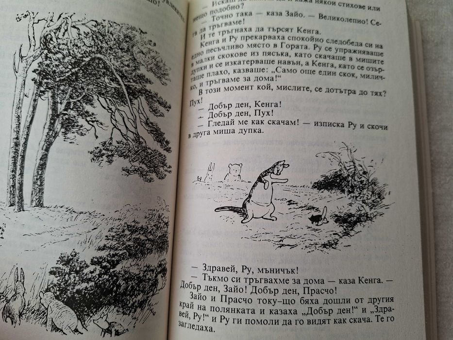 Детски книги Мечо Пух, Пипи дългото чорапче, приказки и други