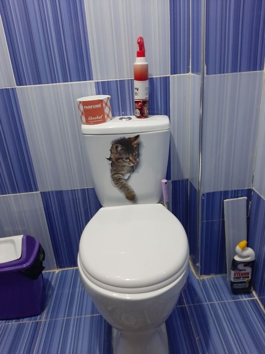 Сдаётся 2 комнатная  в 6 этаже   без лифта   семейным паре