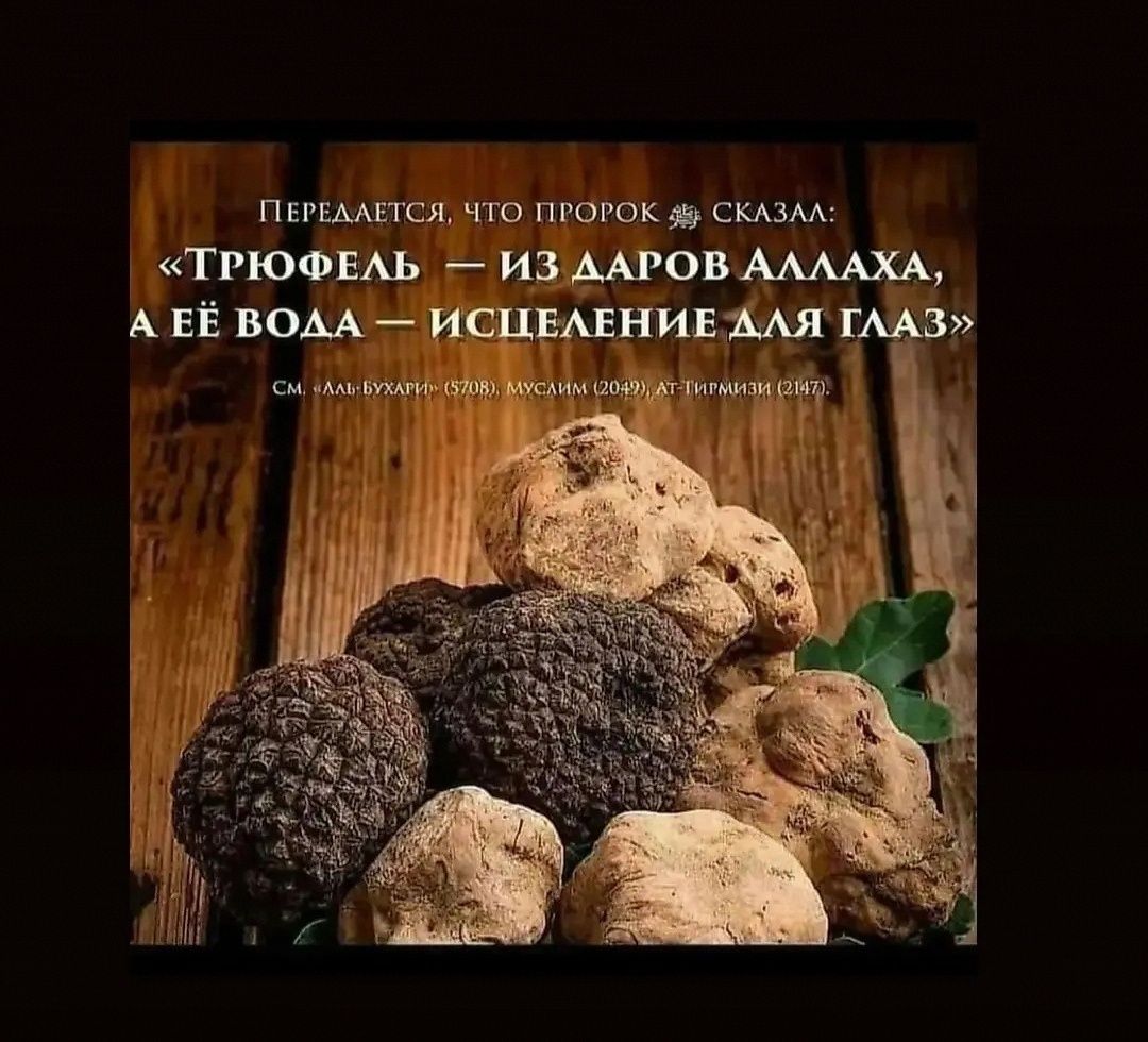 Глазные капли трюфеля