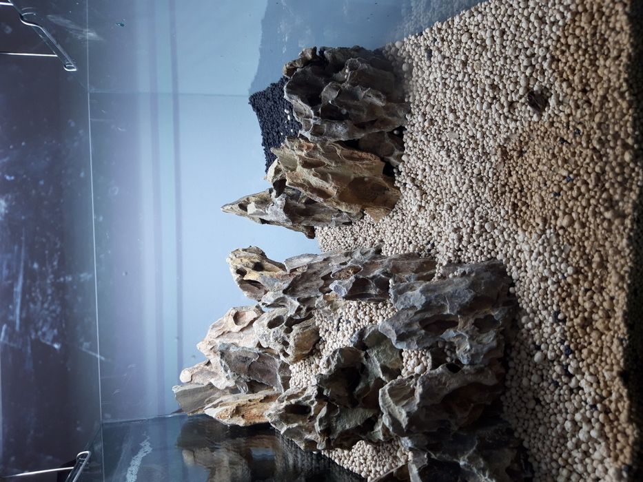 Amenajare, întreținere acvarii