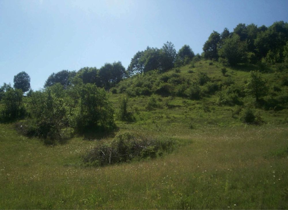 Teren Extravilan 140.000 mp(14 Hectare) SOVATA