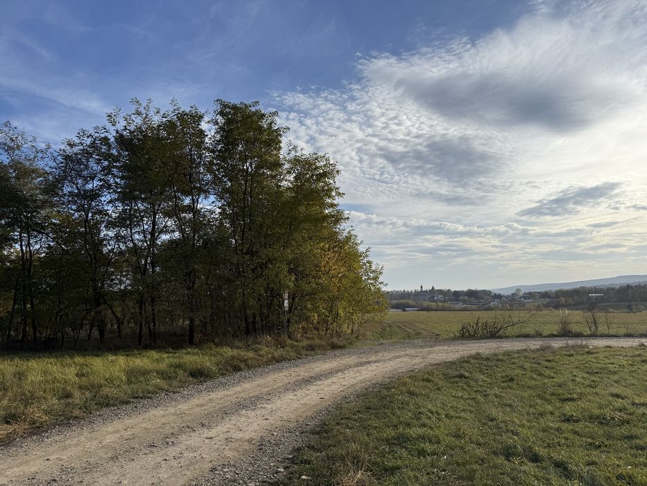 Vand teren in Dragomirna 2.002 mp