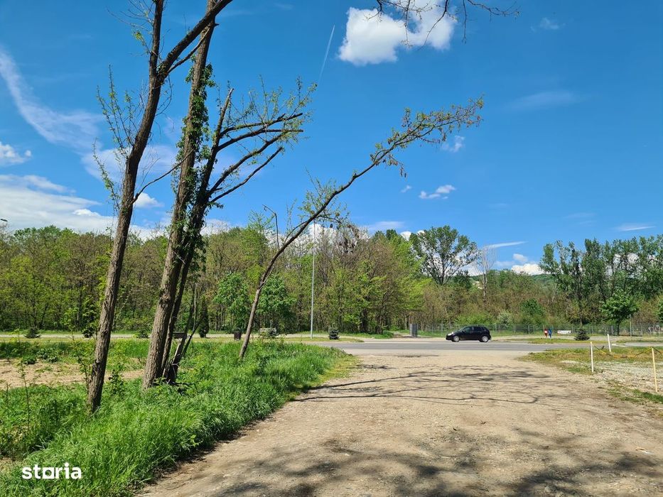 Teren de vanzare / Dem Radulescu