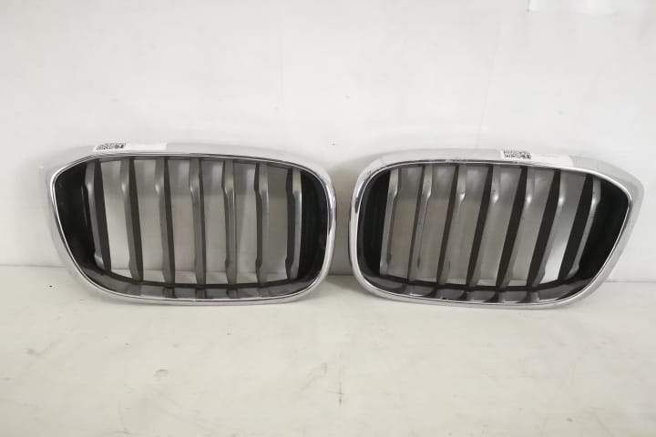 Grila Nara Stanga Originala In Stare Buna BMW  X3  G01 [2017 - 2020]