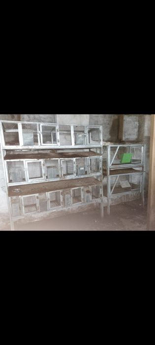 Клетки для кроликов