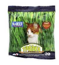 Трава для кошек. Семена.