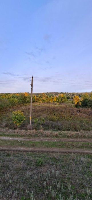 Teren Peceneaga langa Dunare