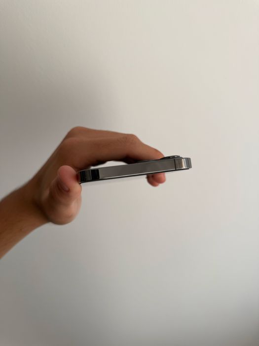 iPhone 12 Pro Max 265 GB Graphite