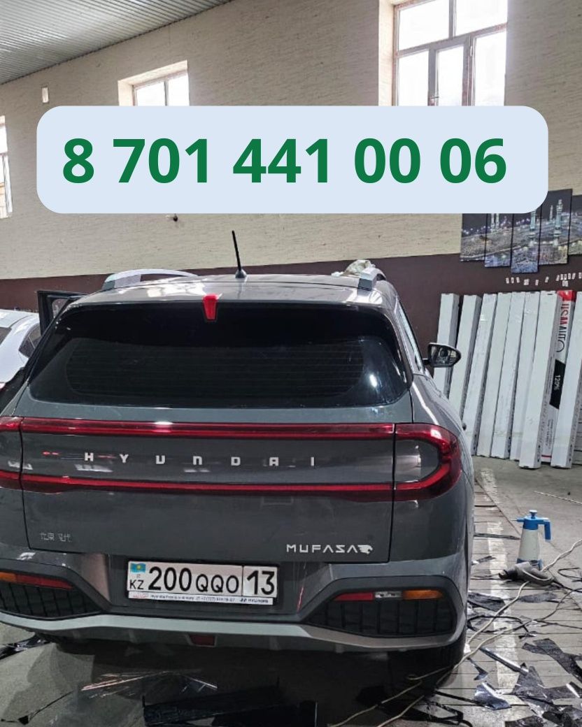 Тонировка Туркестан 001