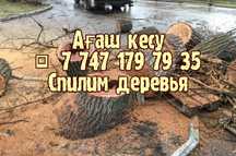 Спилить Дерево. Спил пилим спилить Ағаш кесемиз