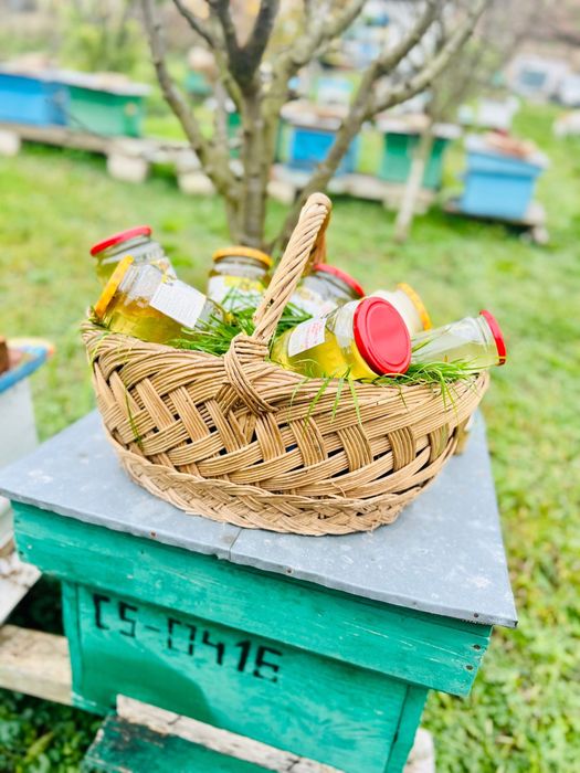 Miere/Polen/Propolis