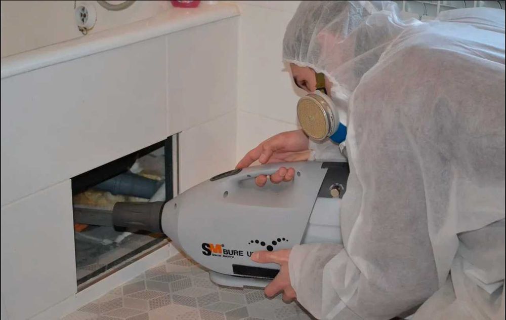 Дезинфекция клопов таракан Dezinfeksiya dezenfeksiya dizinfeksiya