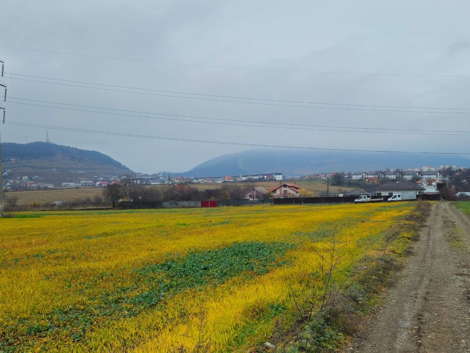 Teren Ciritei - Piatra Neamț- intravilan