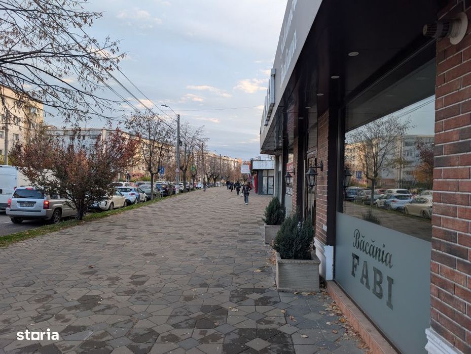 Spatiu stradal Stefan cel Mare 7