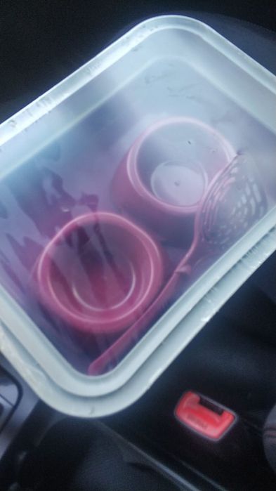 Наборы для кошек. Доставка по городу. Лоток, 2 миски и совок.