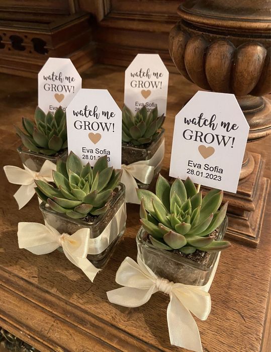 Marturii suculente nunta