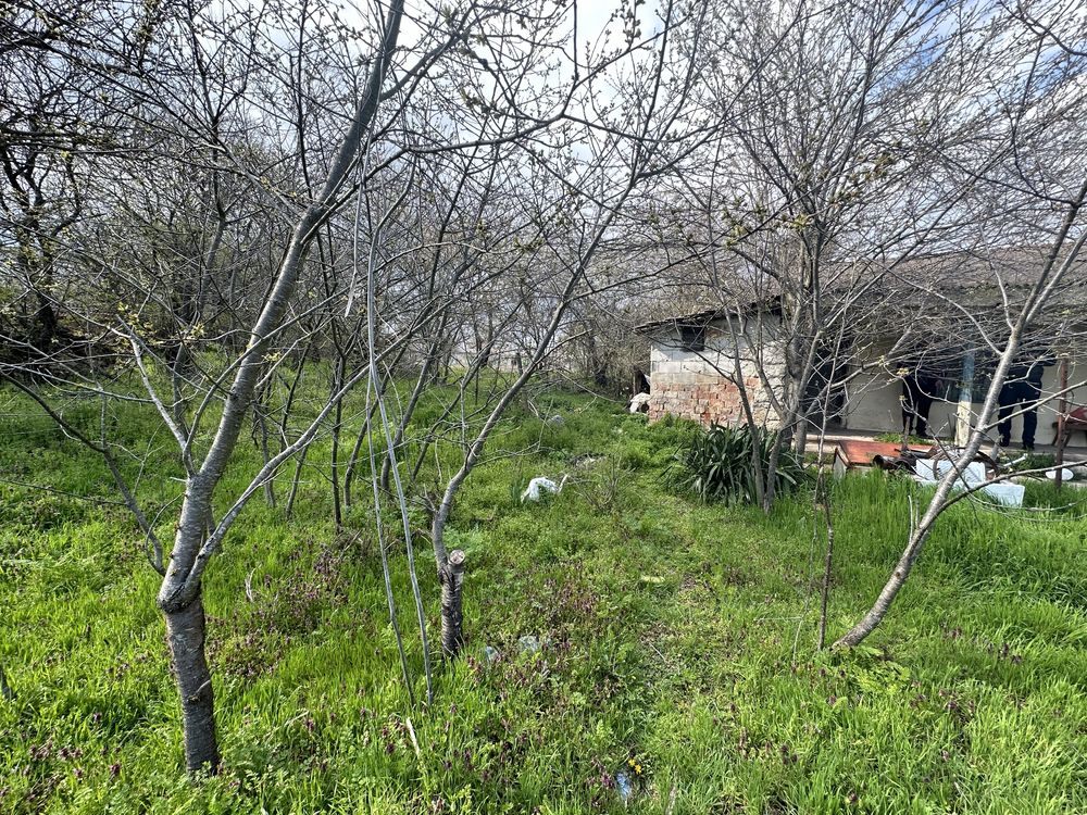 Дворно място с къща село Богданово, Добричка община