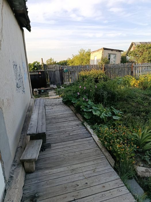 Дача в обществе "Елочка" 1480