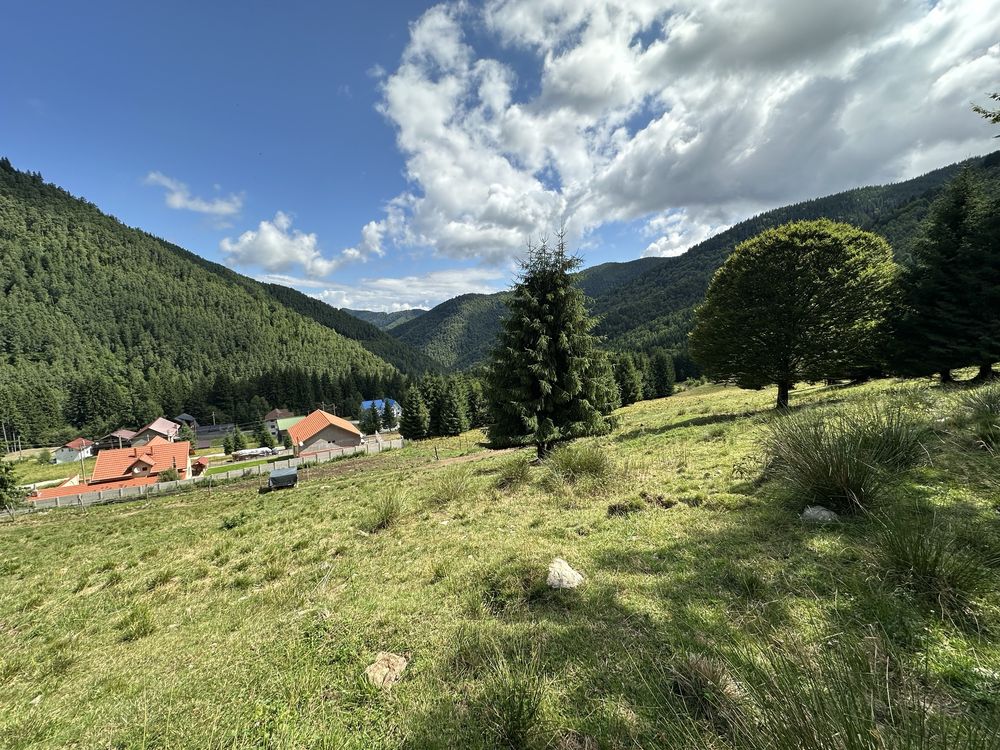 Teren statiunea Rausor,o parcela de 500mp,zona frumoasa