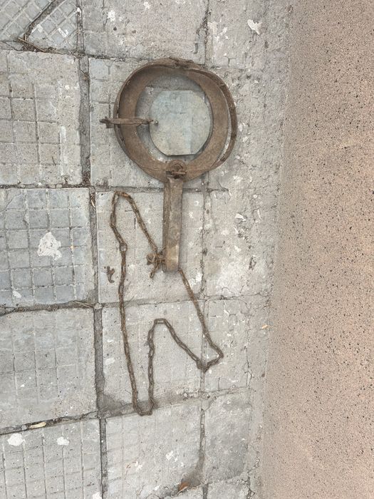 Голям капан за едър вреден дивеч