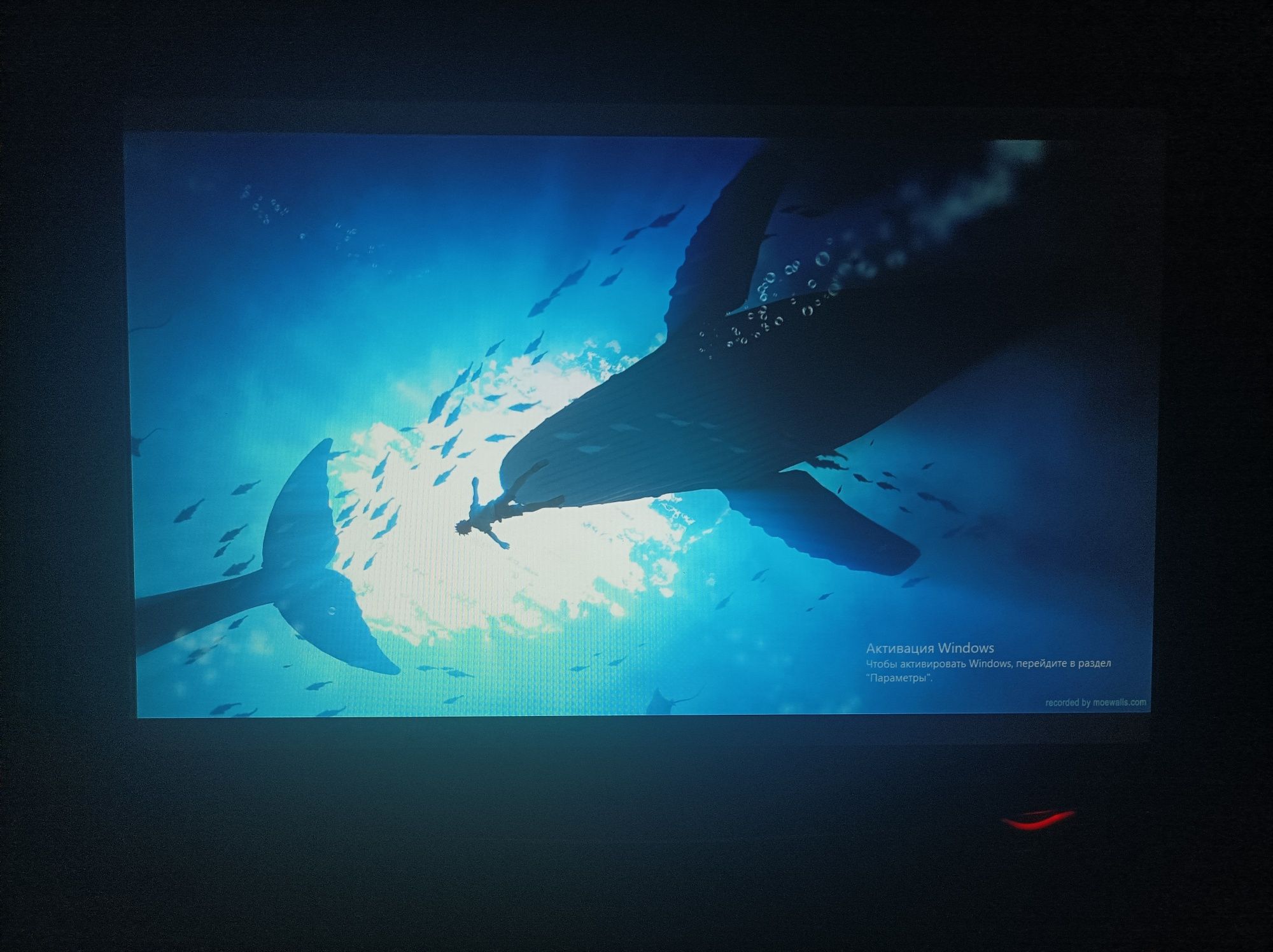 Monitor LG 19 Wide