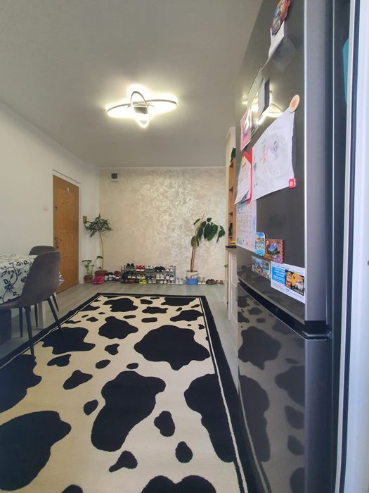 apartamente de vanzare roman