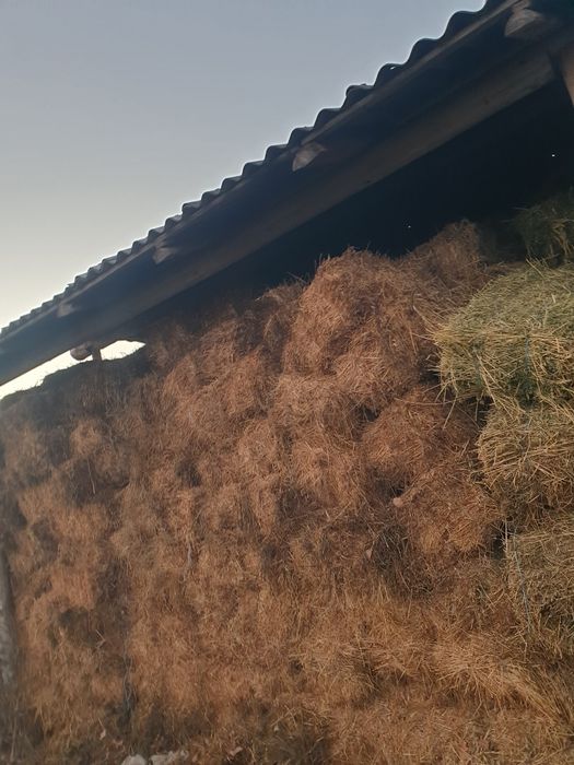 Dau baloti  coasa a doua și a 3