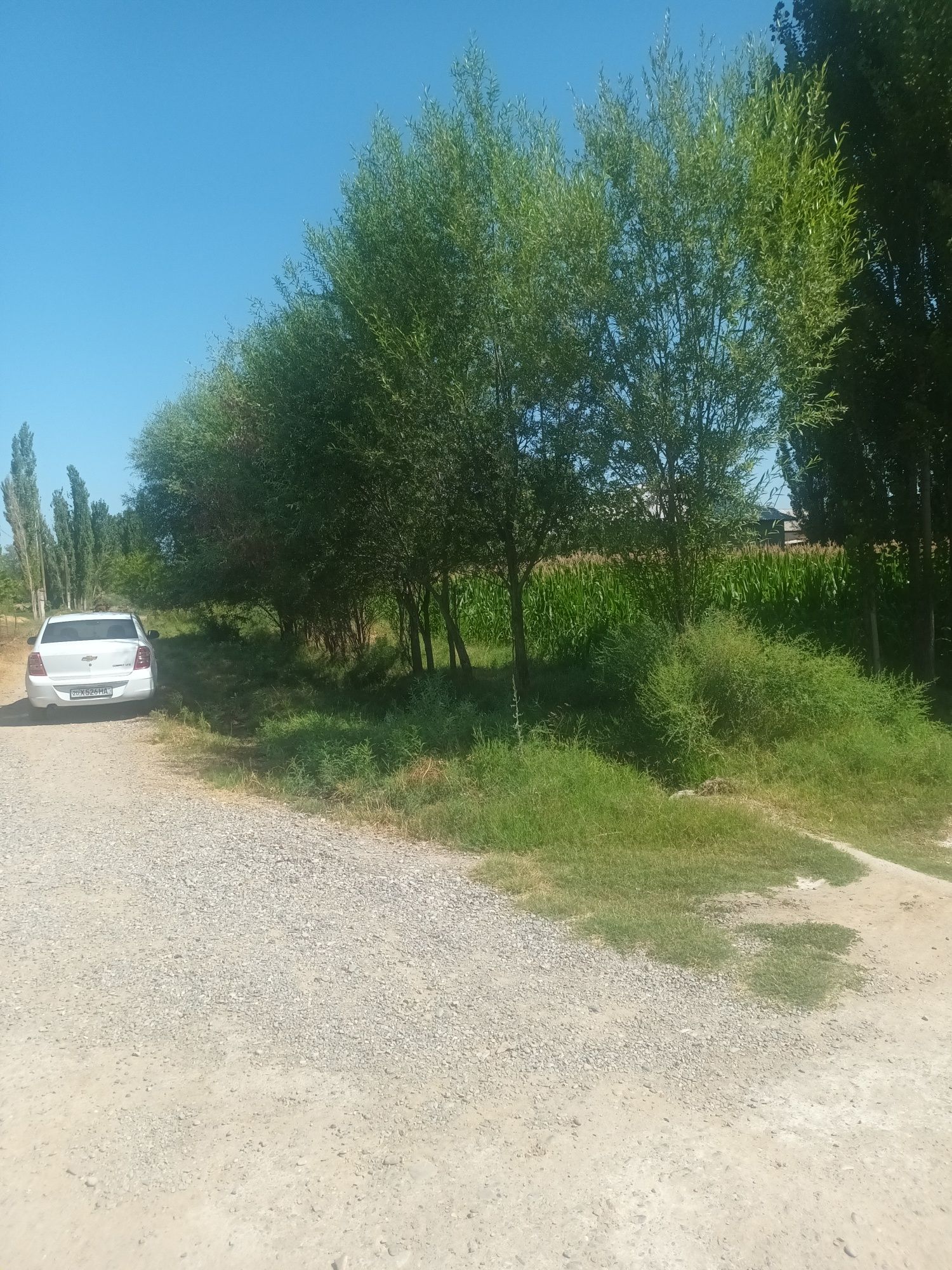 11 sotxli uchastka