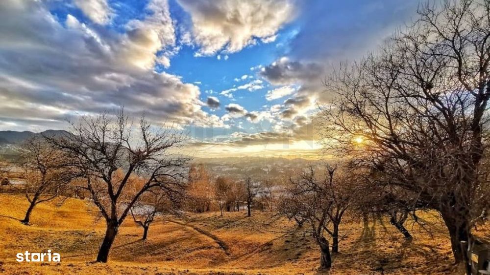 Teren de vanzare in Bran I Sohodol