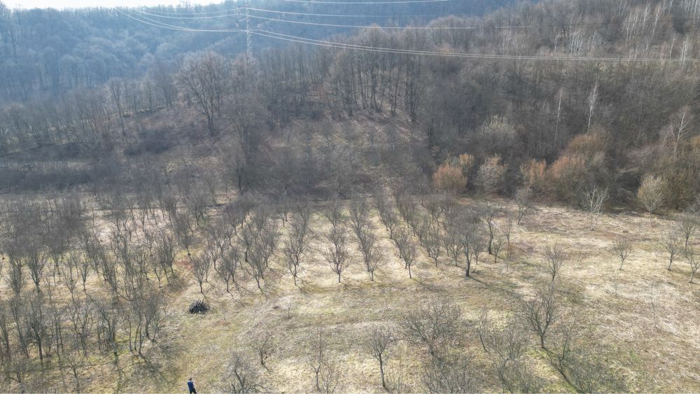 Teren intravilan Valea Cenchi constructii case pensiune caransebes