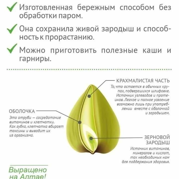Зелёная гречка по кг