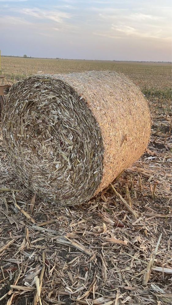 Vând baloți mari  de ciocani