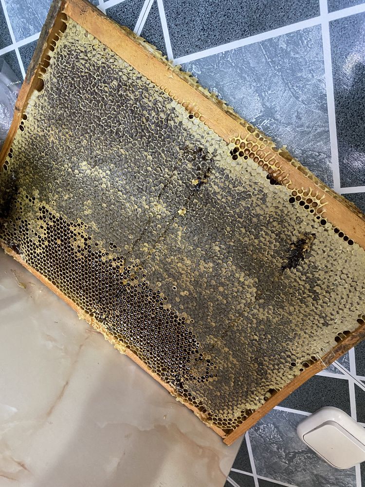 Мёд от пчеловода 3500тг за 1.5кг