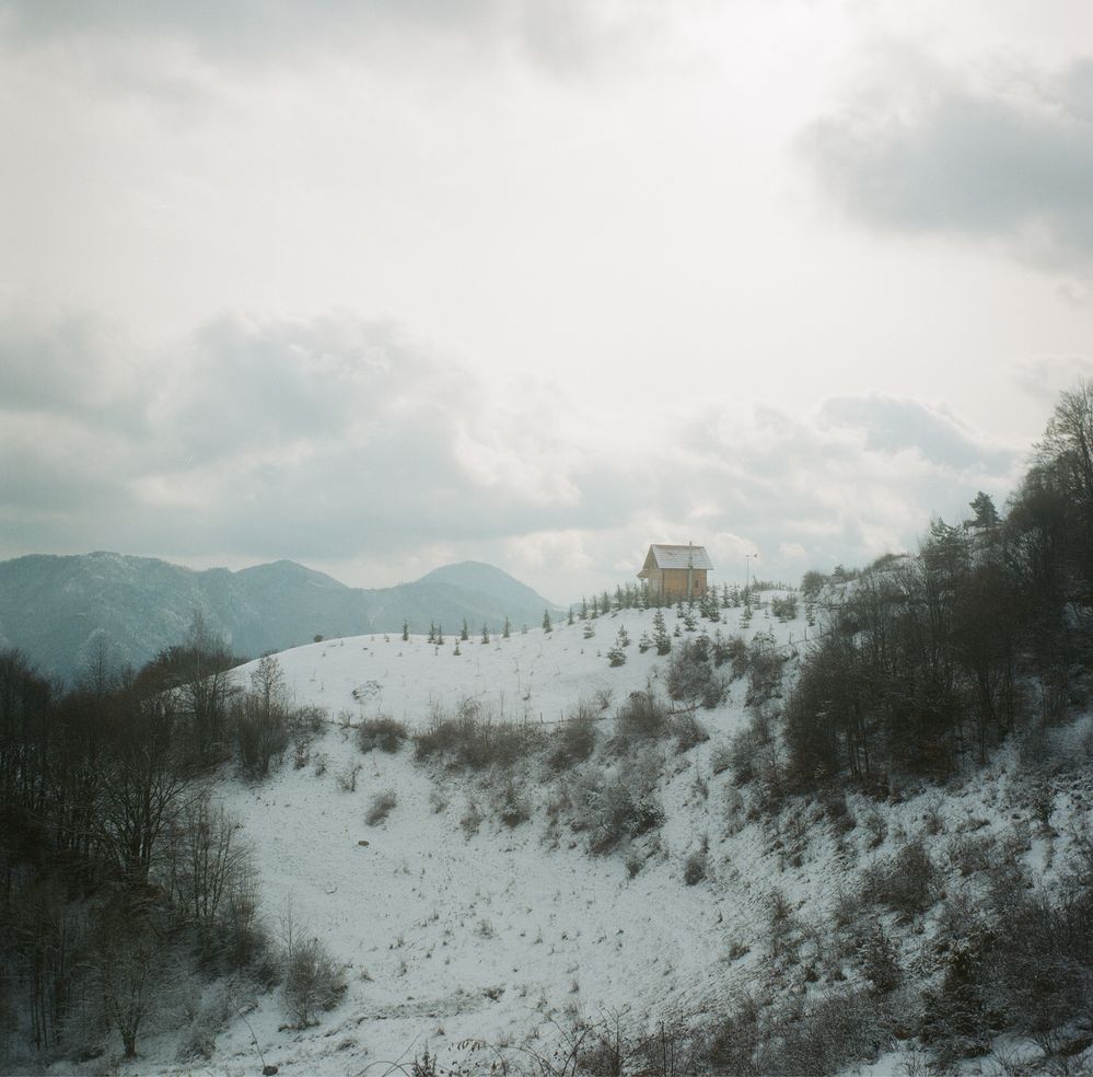 Aparat foto Mamiya C3 Professional cu Sekor 65mm f3.5