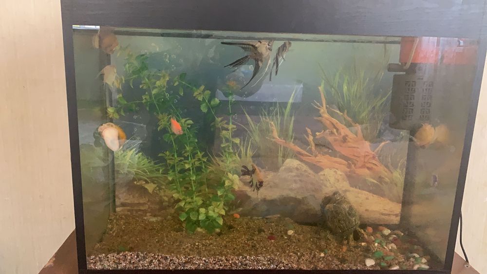 Аквариум 80 литр