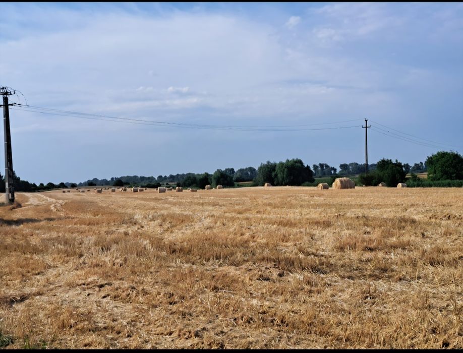 Vând rotobali de paie