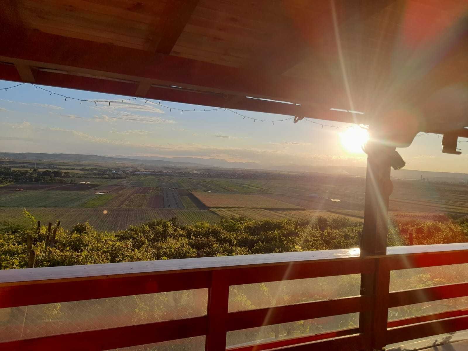 Vand cabana si livada..an viisoara jud cluj